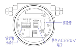 熱式氣體質量流量計(圖9)