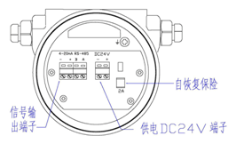 熱式氣體質量流量計(圖10)