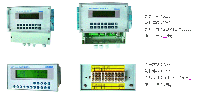 熱式氣體質量流量計(圖11)
